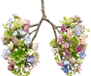 Sensibilisation à la qualité de l&rsquo;air en vidéo