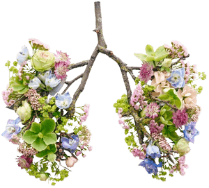 Sensibilisation à la qualité de l&rsquo;air en vidéo